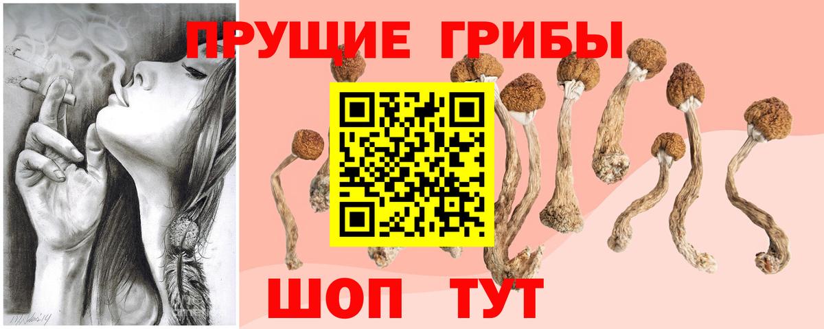 Галлюциногенные грибы мицелий  Вход с VPN  Тосно  купить наркотик  Псилоцибиновые грибы прущие грибы 